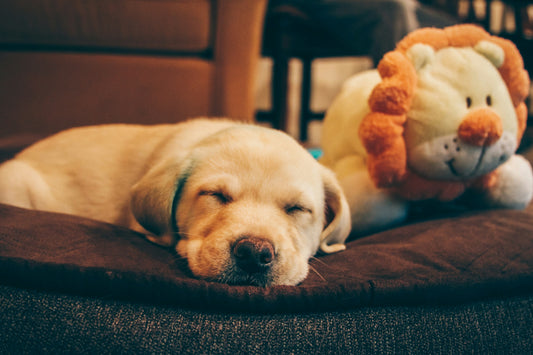 Enhance Sleep Comfort and Mobility for Bed-Bound Individuals
