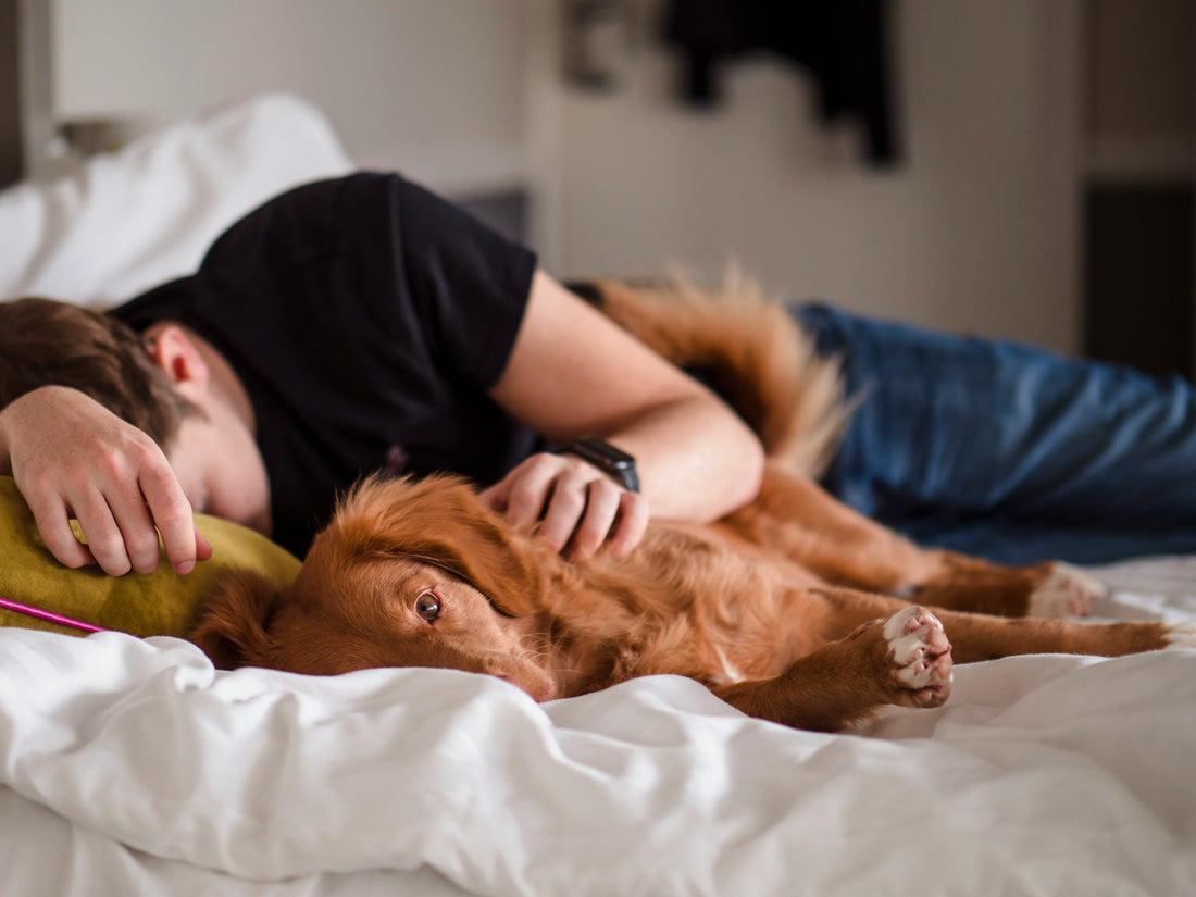 "Get a Better Night's Rest with The Snoozle Slide Sheet!"